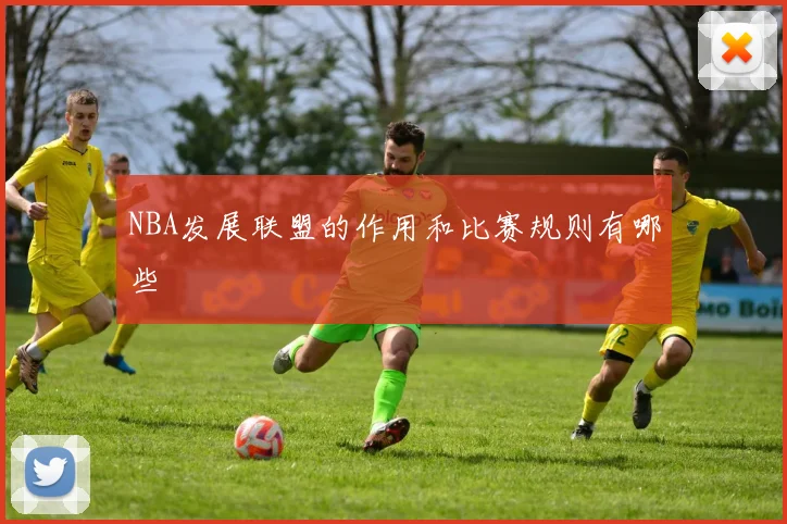 NBA发展联盟的作用和比赛规则有哪些