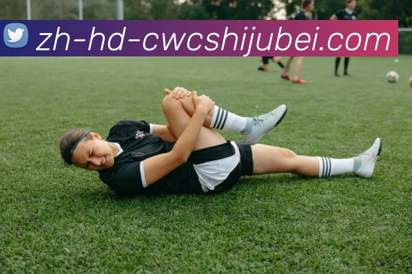 世界杯买球发展历程