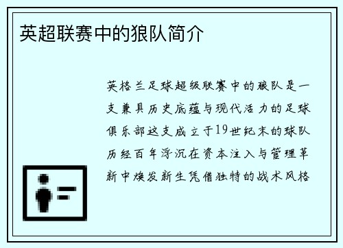 英超联赛中的狼队简介